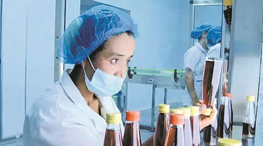 中国（新疆）自由贸易试验区喀什片区三师区块——兵地携手 力拓新局