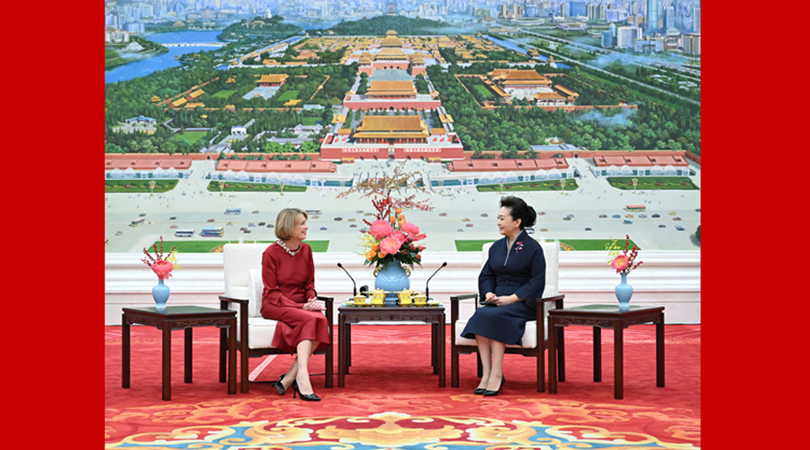 彭丽媛同德国总统夫人比登本德茶叙